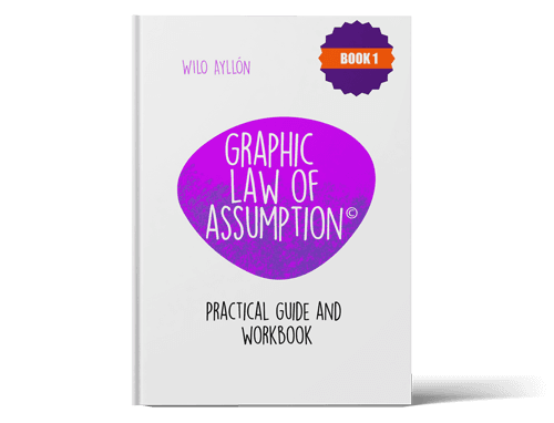 Graphic Law of Assumption: Book 1 — Paperback
