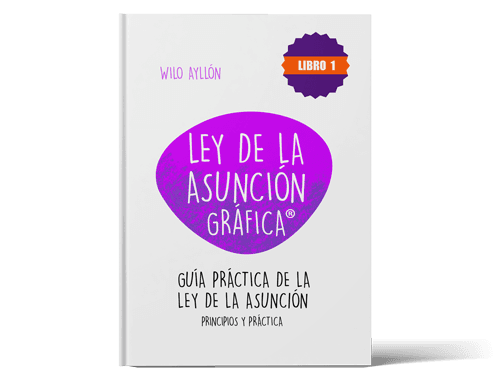 Ley de Asunción gráfica (Libro 2) — Paperback