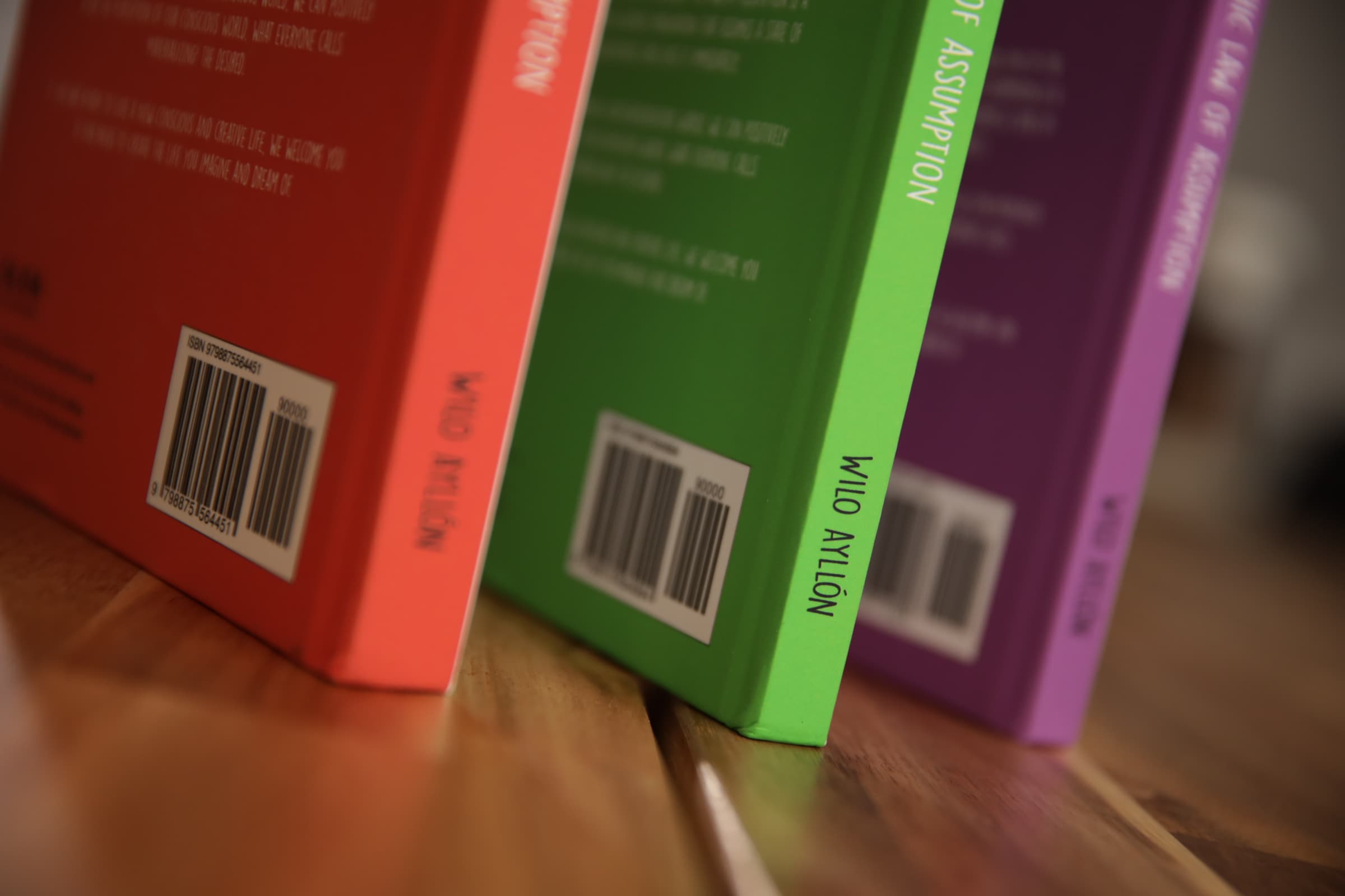 Graphic Law of Assumption — interior pages and cover photography
